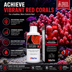 Red Sea Reef Colours B 500ml - R22053