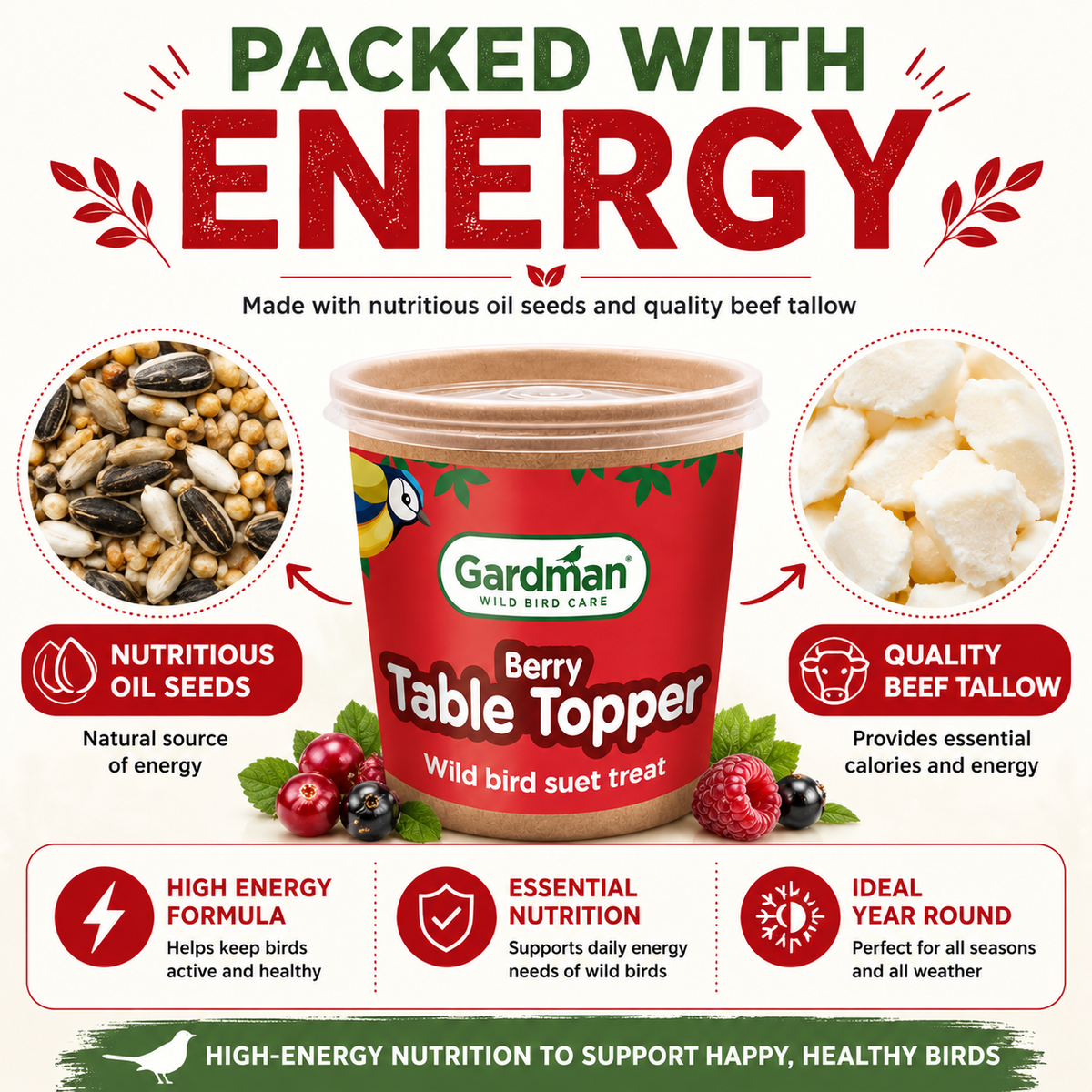 Gardman Table Toppers Berry High Energy Wild Bird Treats Food